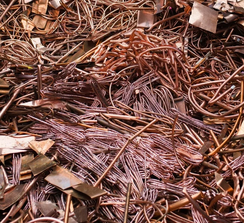 Sustainability Image